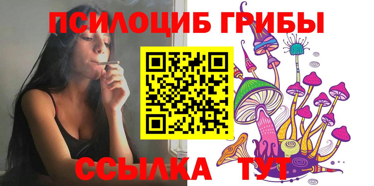 Карачаевск  Галлюциногенные грибы MAGIC MUSHROOMS  Вход с VPN 
